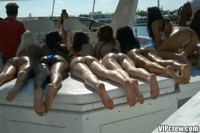 Babes On Boat Or Windsurf Page 50 Freeones Forum The Free Sex